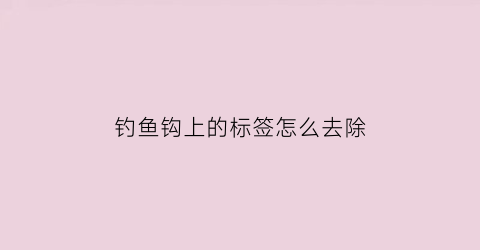 钓鱼钩上的标签怎么去除(鱼钩上面的铅怎么弄)