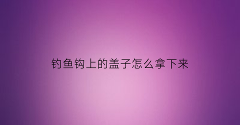 钓鱼钩上的盖子怎么拿下来(钓鱼钩怎么办)