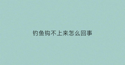 钓鱼钩不上来怎么回事(鱼钩钩不到鱼)