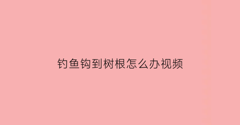 “钓鱼钩到树根怎么办视频(钩树枝的钩子)