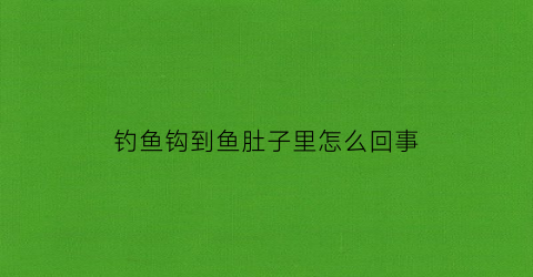 钓鱼钩到鱼肚子里怎么回事(钓鱼经常把鱼从肚子勾上来)