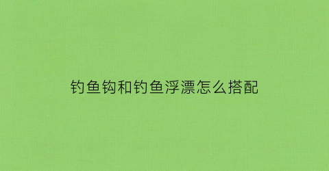 钓鱼钩和钓鱼浮漂怎么搭配(钓鱼鱼钩和浮漂的位置)