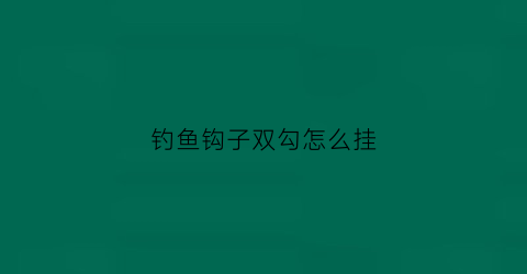 钓鱼钩子双勾怎么挂(钓鱼双勾怎么打结)