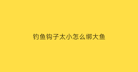 “钓鱼钩子太小怎么绑大鱼(钓鱼钩子太小怎么绑大鱼线)