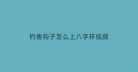 “钓鱼钩子怎么上八字环视频(鱼钩怎样往八字环上绑)