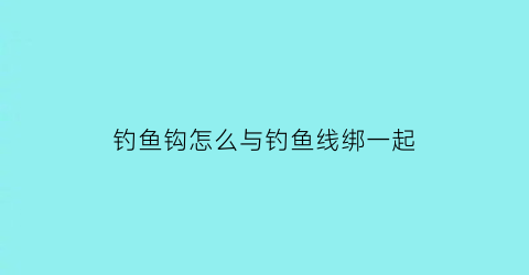 “钓鱼钩怎么与钓鱼线绑一起(鱼钩与线的搭配)