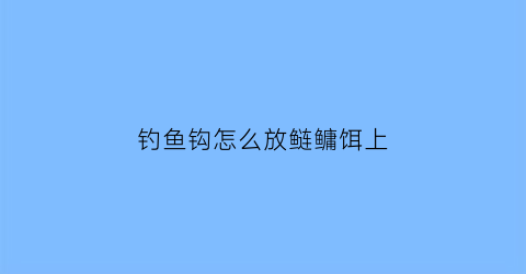 钓鱼钩怎么放鲢鳙饵上(钓鱼钩怎么放鲢鳙饵上钩视频)