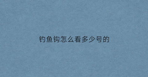 钓鱼钩怎么看多少号的(钓鱼用鱼钩怎么看大小)