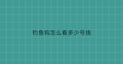 钓鱼钩怎么看多少号线(怎样看鱼钩是几号的)