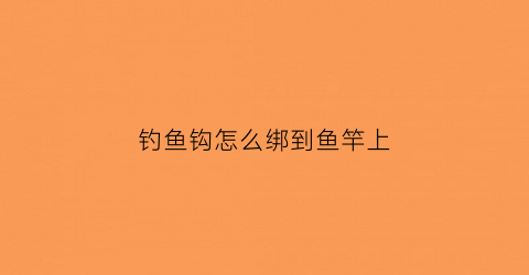 钓鱼钩怎么绑到鱼竿上(鱼钩怎么绑杆)