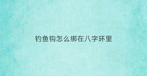 钓鱼钩怎么绑在八字环里(钓鱼钩怎么绑在八字环里视频)