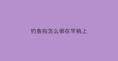 钓鱼钩怎么绑在竿稍上(钓钩怎么绑在鱼竿上视频)