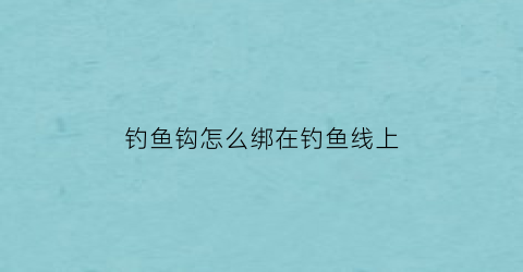 钓鱼钩怎么绑在钓鱼线上(钓鱼钩怎么绑在钓鱼线上视频)