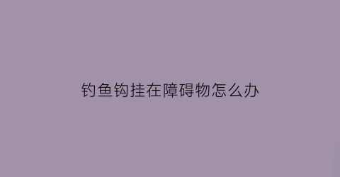钓鱼钩挂在障碍物怎么办(钓鱼钩挂在障碍物怎么办视频)
