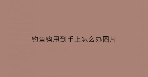 钓鱼钩甩到手上怎么办图片(钓鱼钩甩到手上怎么办图片)