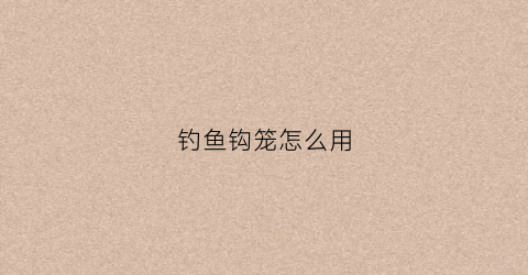 钓鱼钩笼怎么用(笼子钓鱼鱼钩怎么安装视频)