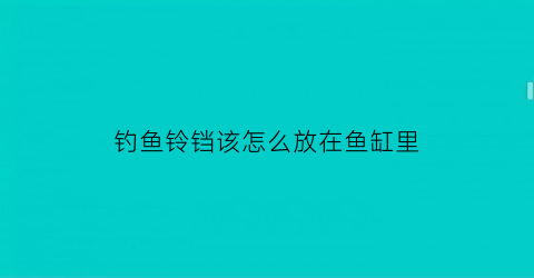 钓鱼铃铛该怎么放在鱼缸里(钓鱼的铃铛是怎么绑的视频)