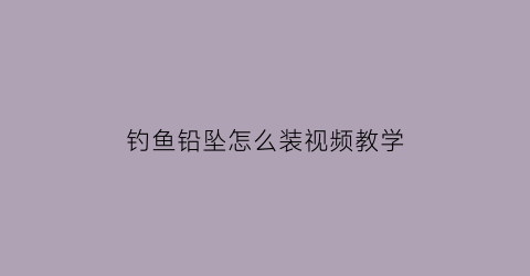 钓鱼铅坠怎么装视频教学(钓鱼铅坠怎么装视频教学全集)