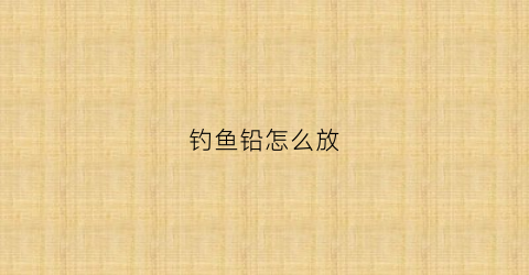 钓鱼铅怎么放(钓鱼铅怎么加)