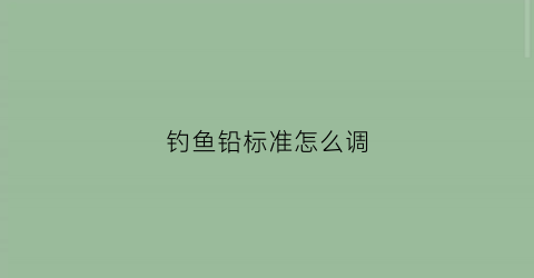 钓鱼铅标准怎么调(钓鱼铅和漂比例是多少)