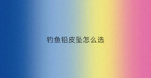 钓鱼铅皮坠怎么选(钓鱼铅皮是沉底还是悬空)