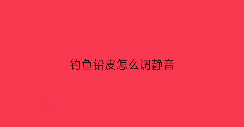 钓鱼铅皮怎么调静音(钓鱼如何设置铅皮)
