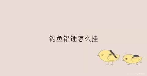 钓鱼铅锤怎么挂(钓鱼铅坠怎么挂)