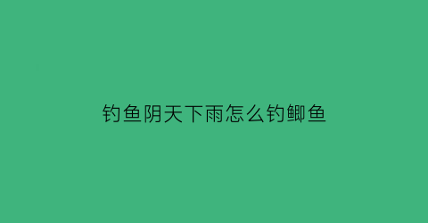 钓鱼阴天下雨怎么钓鲫鱼