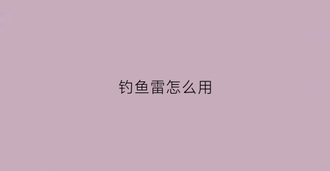 钓鱼雷怎么用(钓鱼雷达价格及图片)