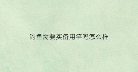 “钓鱼需要买备用竿吗怎么样(钓鱼需要装备)