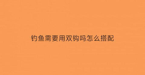 钓鱼需要用双钩吗怎么搭配(钓鱼双钩都要沉底吗)