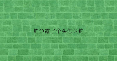 钓鱼露了个头怎么钓(鱼露头的时候好钓鱼吗)