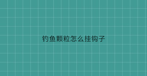 钓鱼颗粒怎么挂钩子(挂颗粒的鱼钩一般用多大)