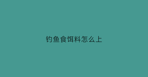 钓鱼食饵料怎么上(钓鱼饵料怎么才能挂得住)