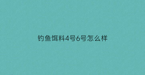 钓鱼饵料4号6号怎么样