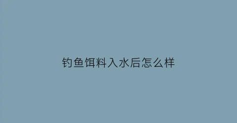 “钓鱼饵料入水后怎么样(钓鱼饵料进水就散了)