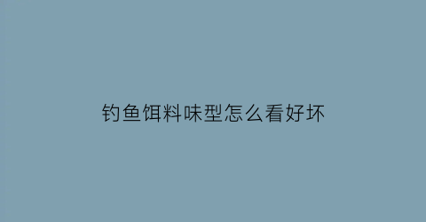钓鱼饵料味型怎么看好坏(鱼饵的味型)