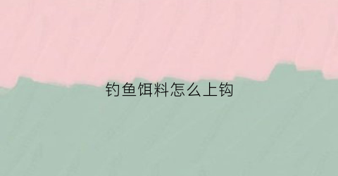 钓鱼饵料怎么上钩(如何上饵料)