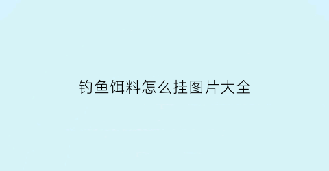钓鱼饵料怎么挂图片大全(钓鱼饵料怎么挂图片大全集)