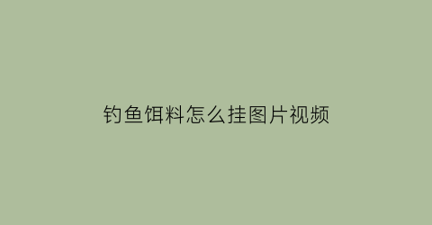 钓鱼饵料怎么挂图片视频(钓鱼饵料的正确挂法)