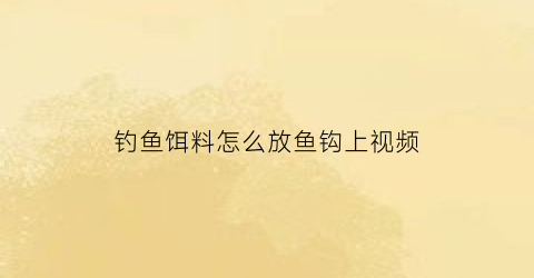 钓鱼饵料怎么放鱼钩上视频