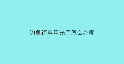 “钓鱼饵料用光了怎么办呢(钓鱼饵料没用完的可以下次接着用吗)