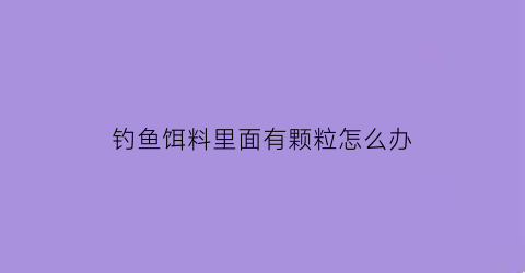 钓鱼饵料里面有颗粒怎么办