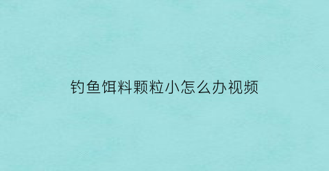 钓鱼饵料颗粒小怎么办视频(鱼饵颗粒野钓效果)