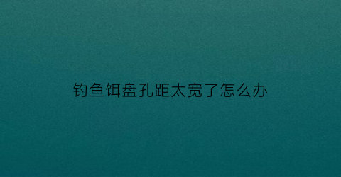 “钓鱼饵盘孔距太宽了怎么办(饵盘架安装位置)