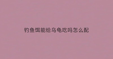 钓鱼饵能给乌龟吃吗怎么配(乌龟料钓鱼)