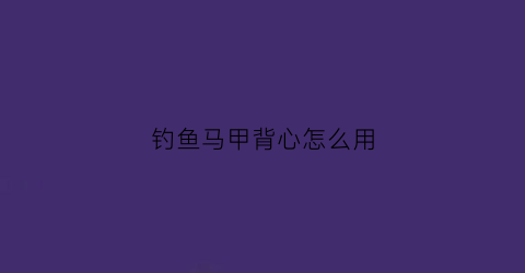钓鱼马甲背心怎么用(钓鱼背心马甲特价)