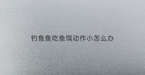 钓鱼鱼吃鱼饵动作小怎么办(钓鱼鱼吃鱼饵动作小怎么办啊)