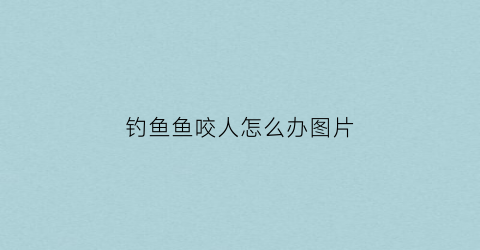 钓鱼鱼咬人怎么办图片(鱼咬钩钓不上来什么原因)