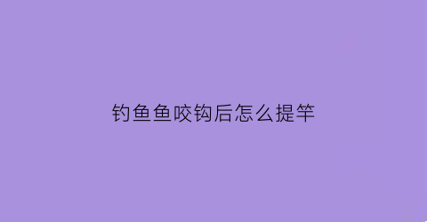 钓鱼鱼咬钩后怎么提竿(鱼咬钩后不提竿会脱钩吗)